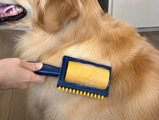 Pet Hair Remover Roller for Dogs & Cats - Reusable  Fur Lint Roller Brush