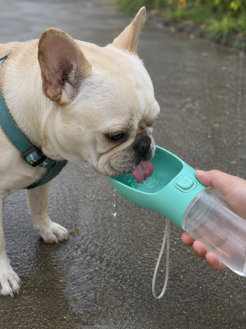 Portable Drinking Cup For Pets